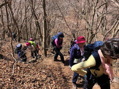 谷から尾根へ乗換える 