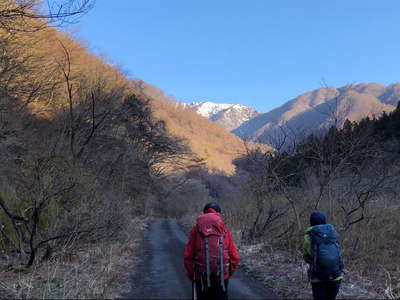 長い林道を歩く 