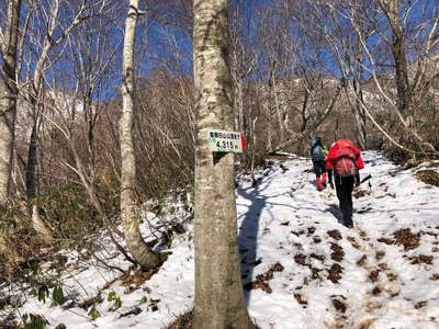 雪が出て来る 