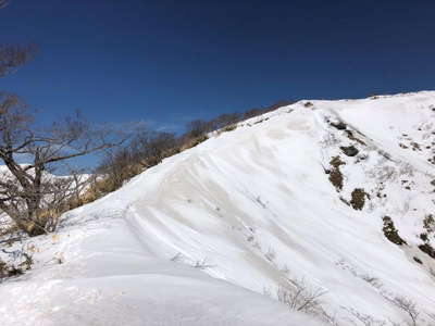 前山への尾根道 