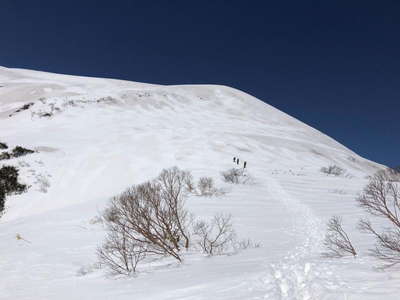 能郷白山への登り 