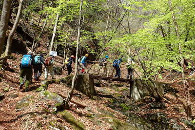 明るい沢沿いに登山道