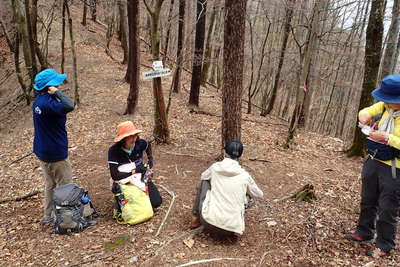 ひと登りすると稜線