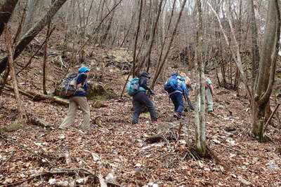 芽ぶきも始まらない登山道 