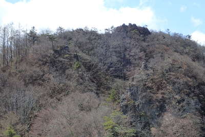 見上げるシラケ山の山頂 