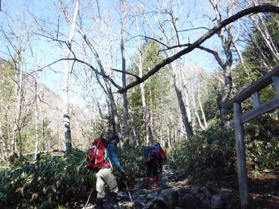 山の神の鳥居を過ぎる 