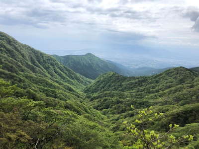 稜線から眺める富士市と駿河湾