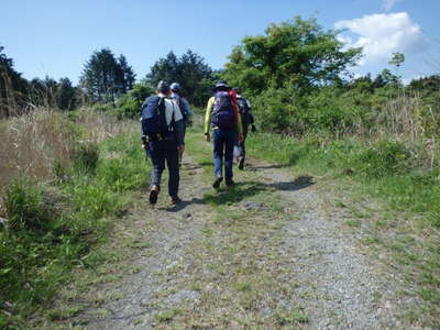 毛無山登山口へのアプローチ