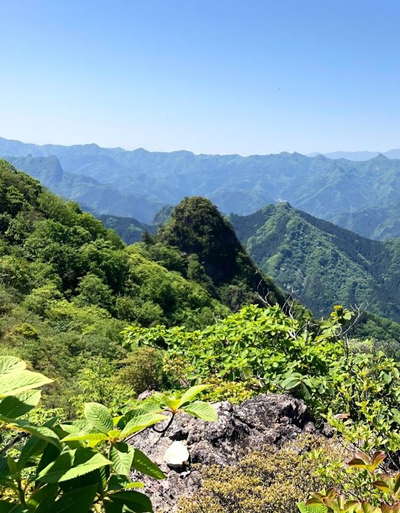 P7から烏帽子岳を望む 