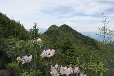 目指す男山