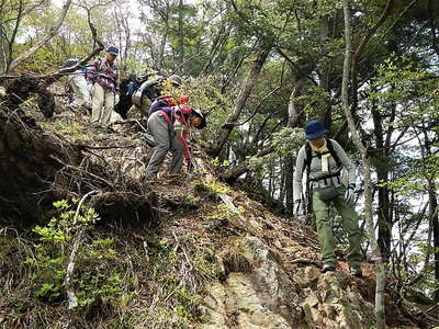 山頂直下の下り