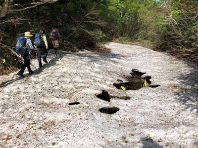 薄雪を踏む登山道 