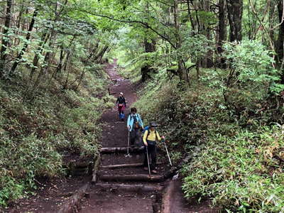 一合目付近は緑豊かな樹林帯 