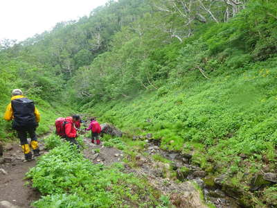 コマドリ沢分岐へ 