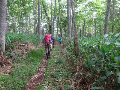 長い下山路 