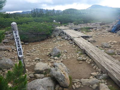 雲の平、アラスカ庭園 