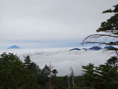 千枚岳から望む富士山と雲海 