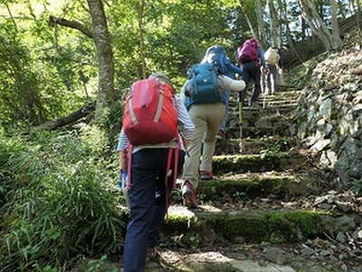 9：31   先ずは登山口から石段を上る