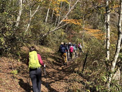 石割山への明るい南斜面の登り 