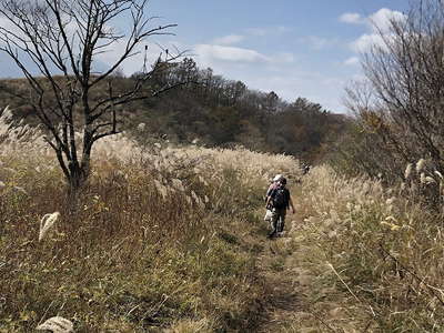 大平山手前のカヤト 