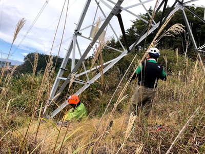 送電線鉄塔下 