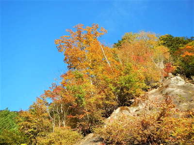 紅葉真っ只中 