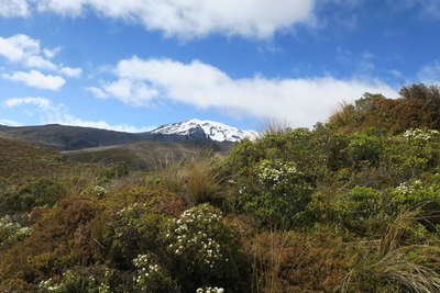 先日登ったルアペフ山 