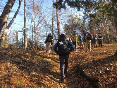 田野倉分岐 