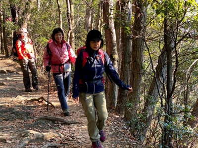 高尾山への登山道