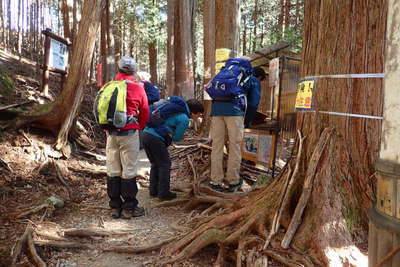 雲取山へと登山道 