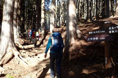 妙法ヶ岳への分岐 