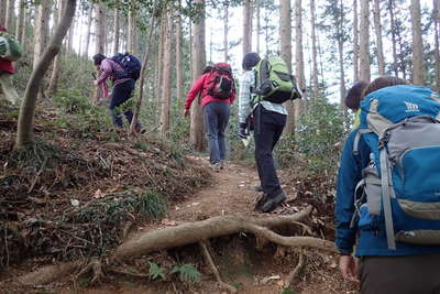 多峯主山へ向かう 