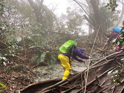 田浦梅林へ下る難路 