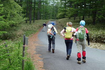 林道を入笠湿原へ戻ります