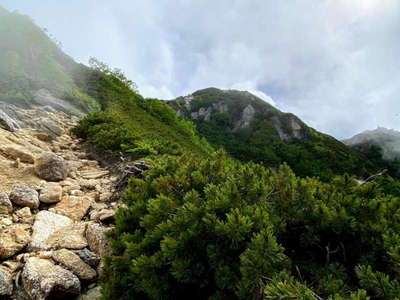 2900mピークの巻道から覗く山頂 