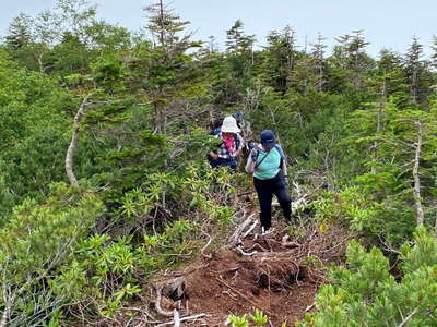 2500mを越えてそろそろ森林限界 