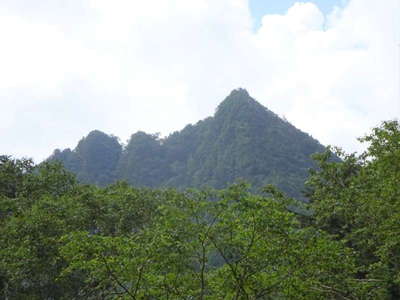 不動沢のコルから越えて来た鋸山を望む