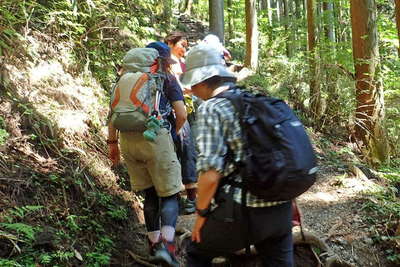 ヒノキ林の登りは思いのほかの急坂 