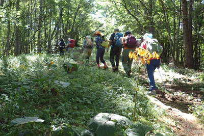 小さなアップダウンの登山道