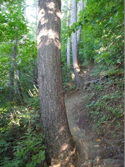 登山道 