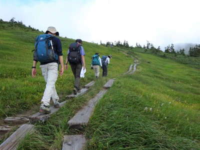 林の登山道を抜けると 