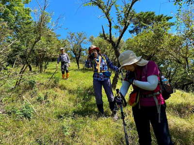 草地の多い仲尾根コース、暑い 