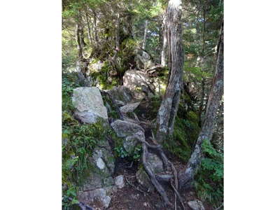 マセナギ登山道 