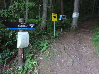 池山尾根登山口へ下山 