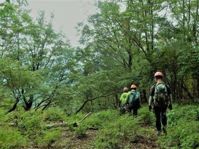 権現山の下山 