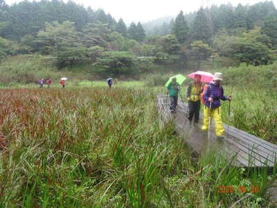 お玉ケ池を木道で渡る 