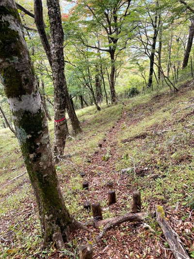 上堂平への古い登山道 