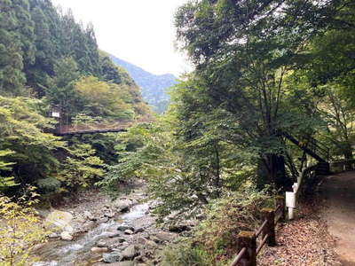 本谷吊橋 