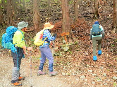 仲尾根の登山口