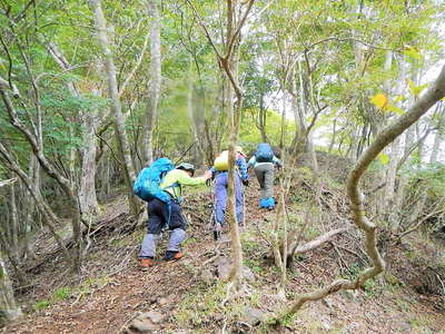 疎林の尾根に高度を稼ぐ